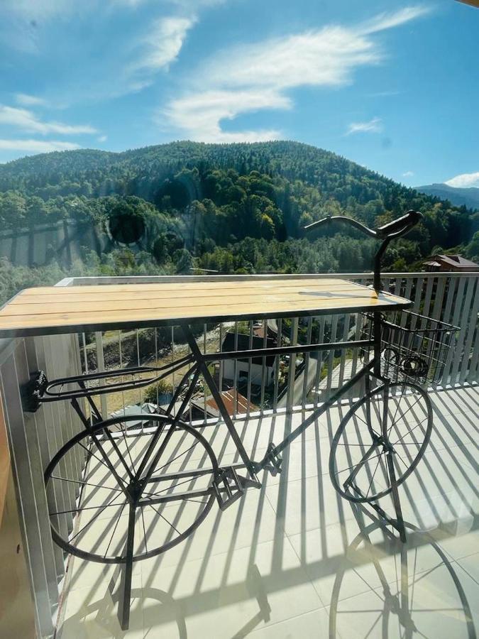 Apartment Ohda Sinaia