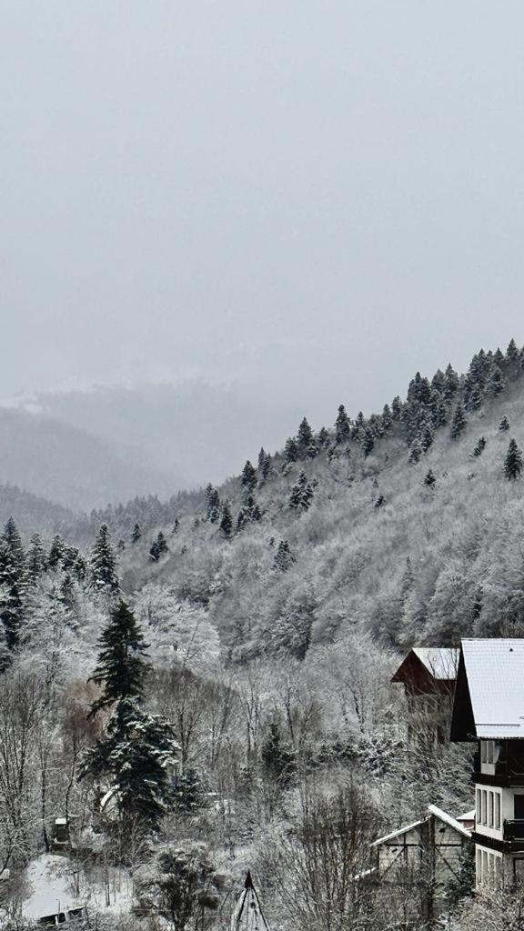 Appartamento Ohda Sinaia